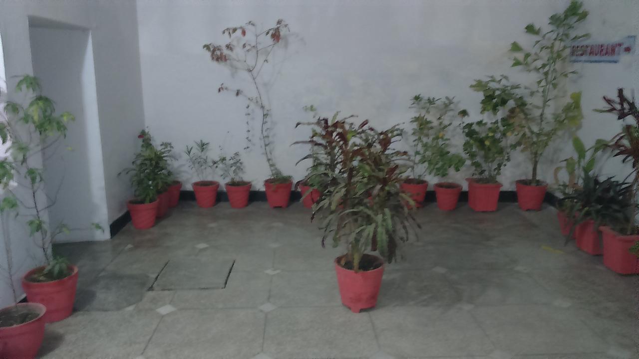 约吉山林小屋 克久拉霍 外观 照片