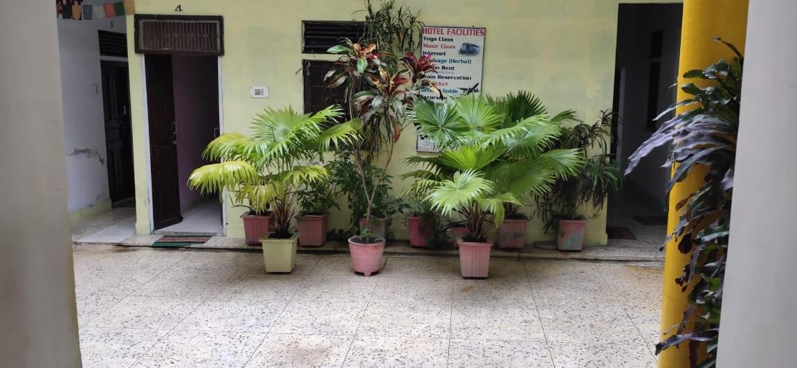 约吉山林小屋 克久拉霍 外观 照片